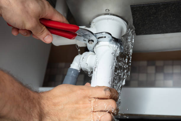 Best Mold removal after water damage  in Whiteland, IN