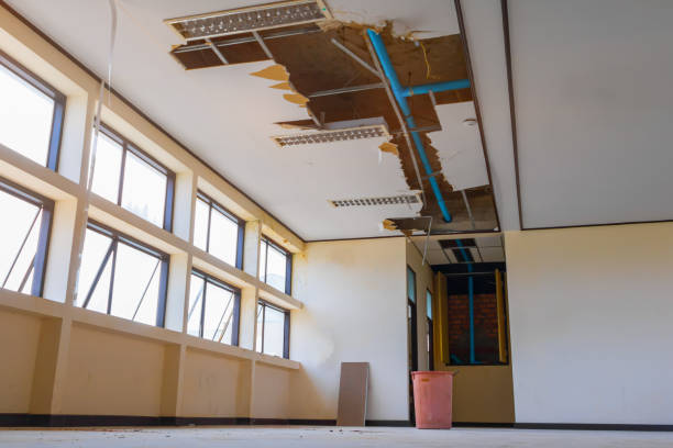 Best 24/7 water damage repair  in Whiteland, IN
