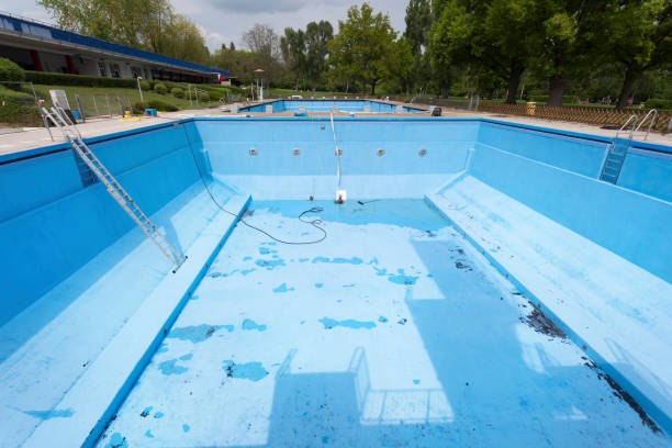 Best Flood damage cleanup  in Whiteland, IN