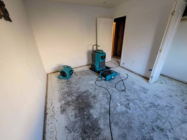 Best Residential water damage restoration  in Whiteland, IN