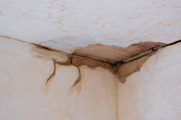 Best Flooded house restoration  in Whiteland, IN