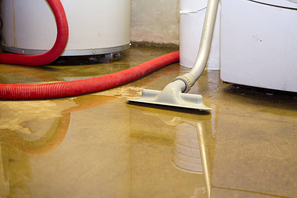 Best 24-hour water damage restoration  in Whiteland, IN