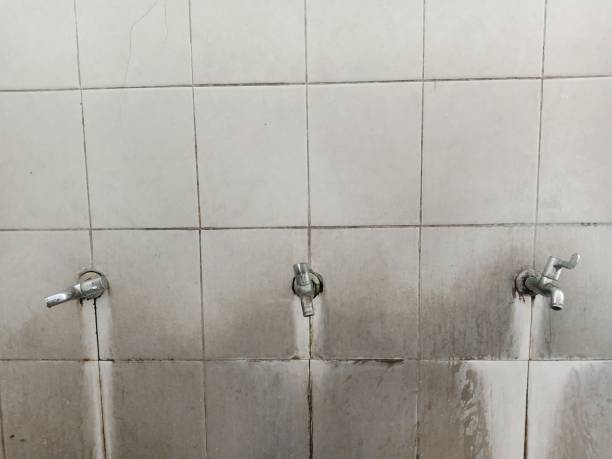 Best Local water damage restoration  in Whiteland, IN