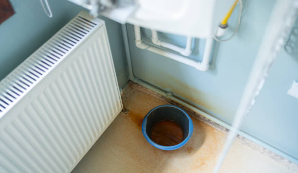 Best Ceiling water damage repair  in Whiteland, IN