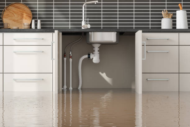 , IN Water damage restoration Company