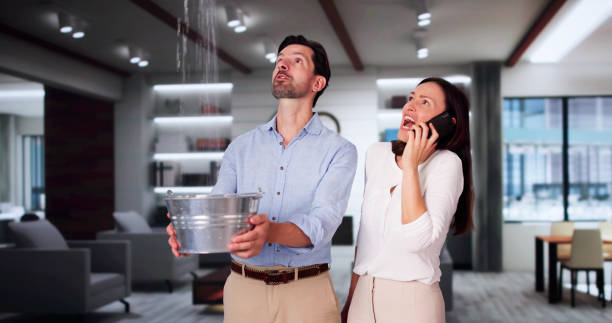 Best Commercial water damage restoration  in Whiteland, IN